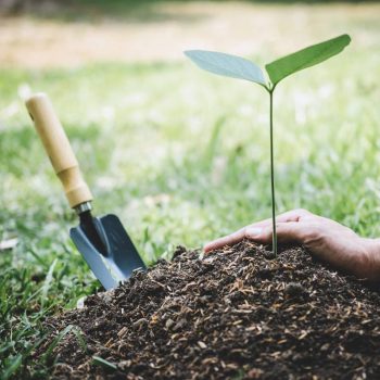 Cuidados de Saúde e o seu Impacto Ambiental